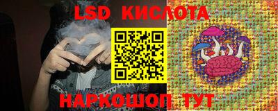 гидра Рыбинск