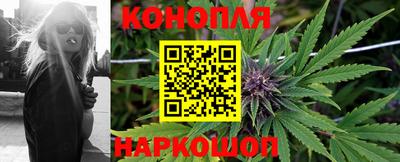 гидра Рыбинск