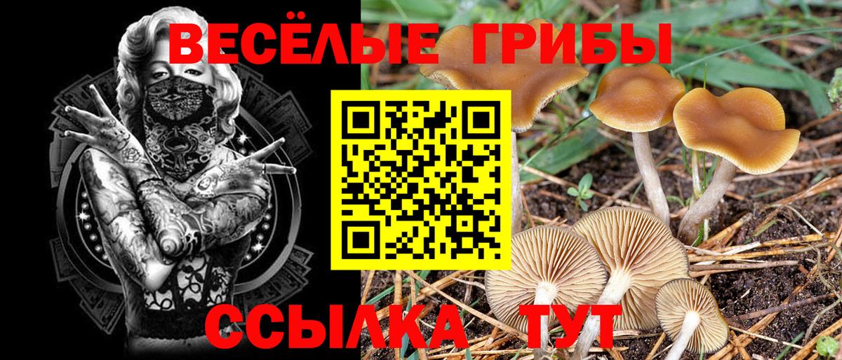 Галлюциногенные грибы Magic Shrooms  Вход с VPN  Скопин 