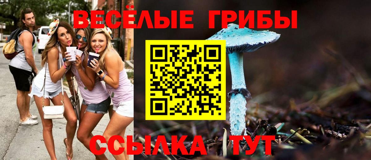 Галлюциногенные грибы прущие грибы Скопин
